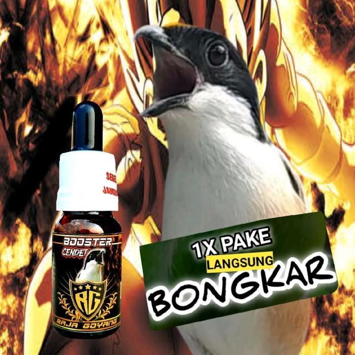 Booster Cendet Rg,Vitamin Penggacor Burung Cendet Gacor