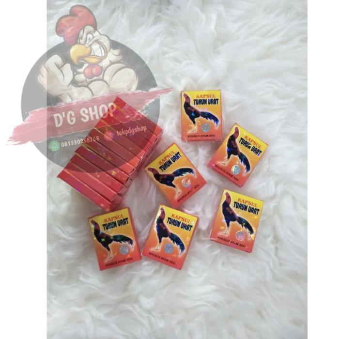 Obat Kapsul Turun Urat Ayam Aduan Bangkok Thailand BERHOLOGRAM readyyy