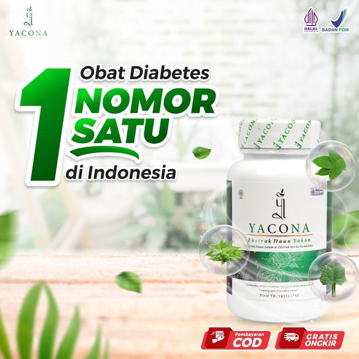 Yacona 1 Botol Yacona Herbal Diabetes Yakona Kapsul Ekstrak Turunkan Gula Darah Capai Remisi Diabete