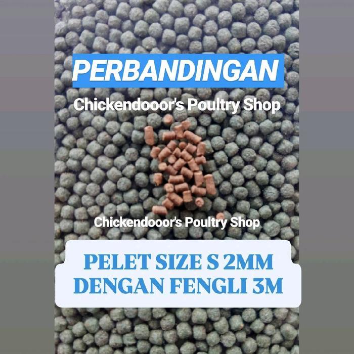 TERLARIS FENG LI 3 M FENGLI 3M sinking food pelet udang lobster air tawar 1/2kg pelet tenggelam