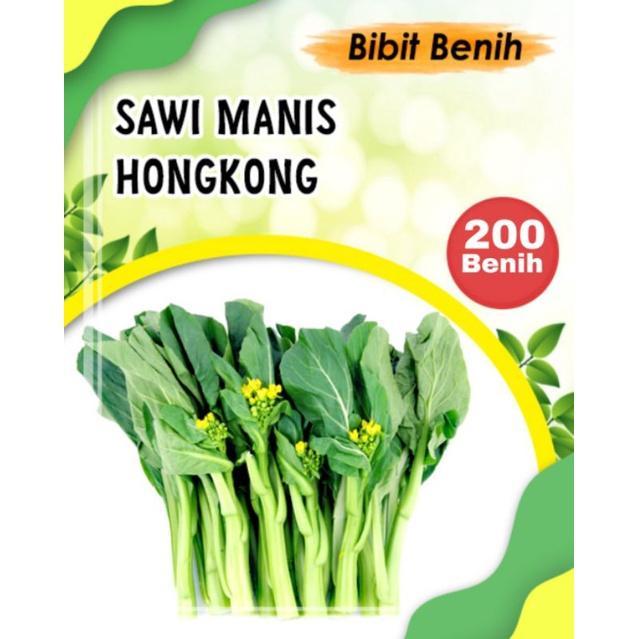 BIG SALE 200 Biji benih sawi hongkong - caisim manis hongkong