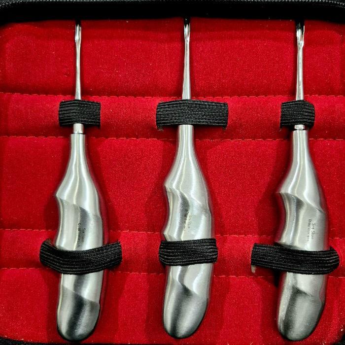 Bein Root Elevator Set Luxator Bein Dental Set Senshan Pakistan Mesial Distal Cryer