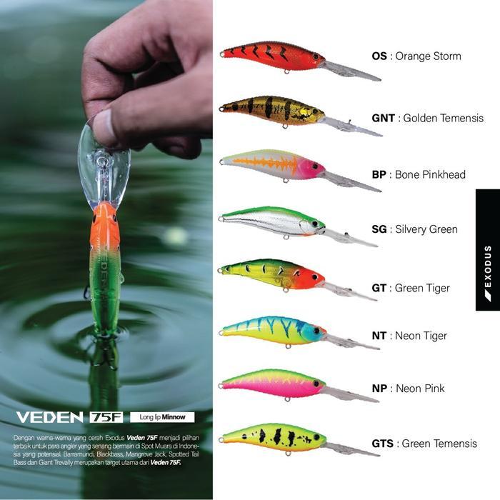 Falcon Fishing - Lure Exodus Veden 75F - Long Lip Minnow