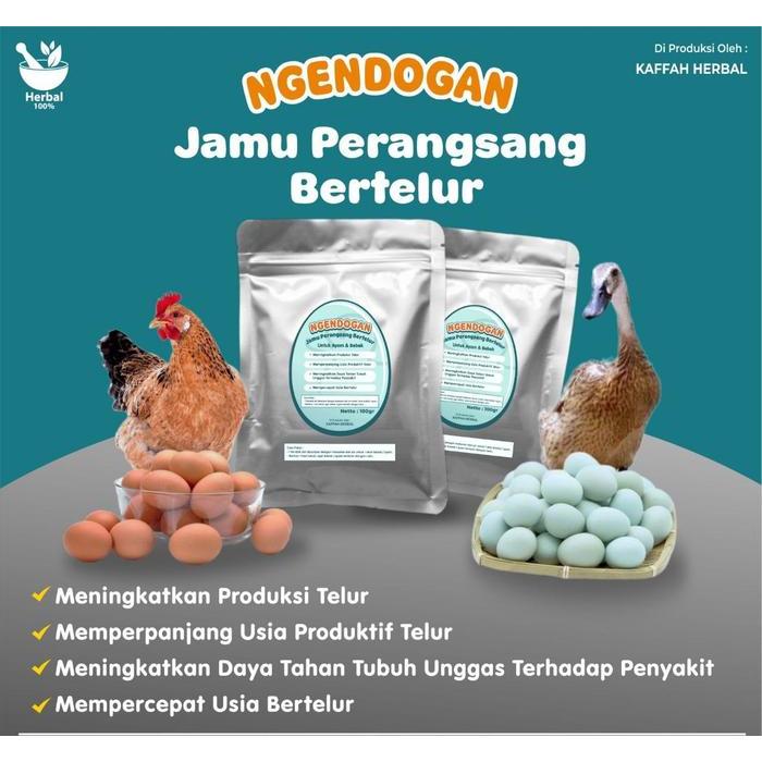 Jamu Perangsang Bertelur NGENDOGAN untuk Bebek atau Ayam konsentrat petelur pur ayam pur ayam