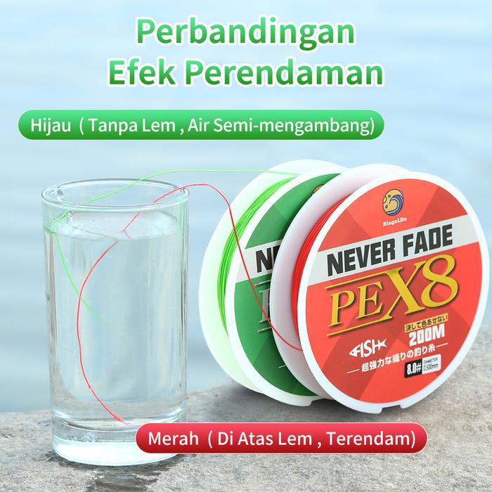 Bingolife X8 Pe 200M Jalinan Fishing Jepang Never Fade Senar Pancing