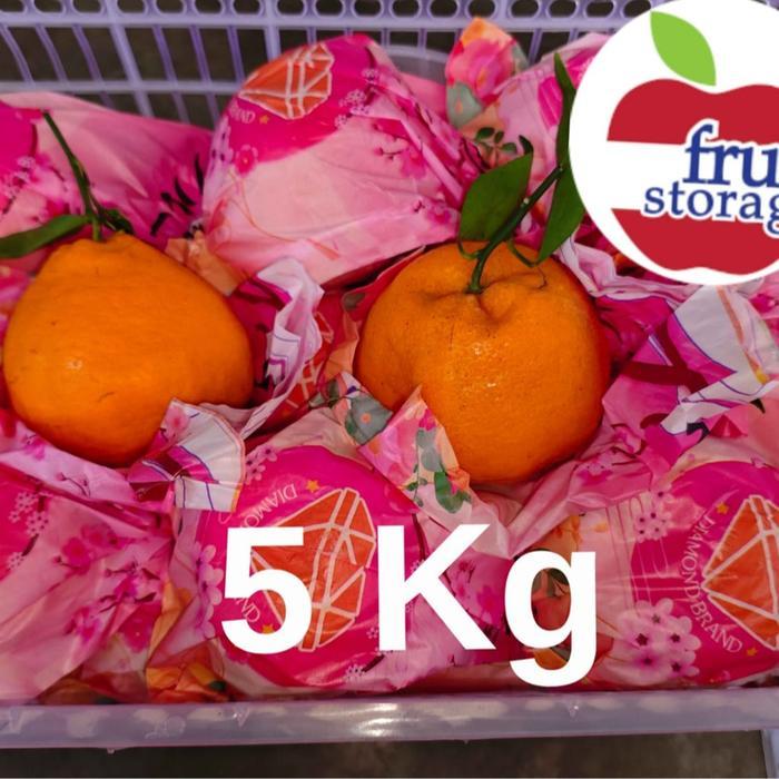 Terlaris Jeruk Mandarin Chunjian / Dekopon / Sumo / Papagan