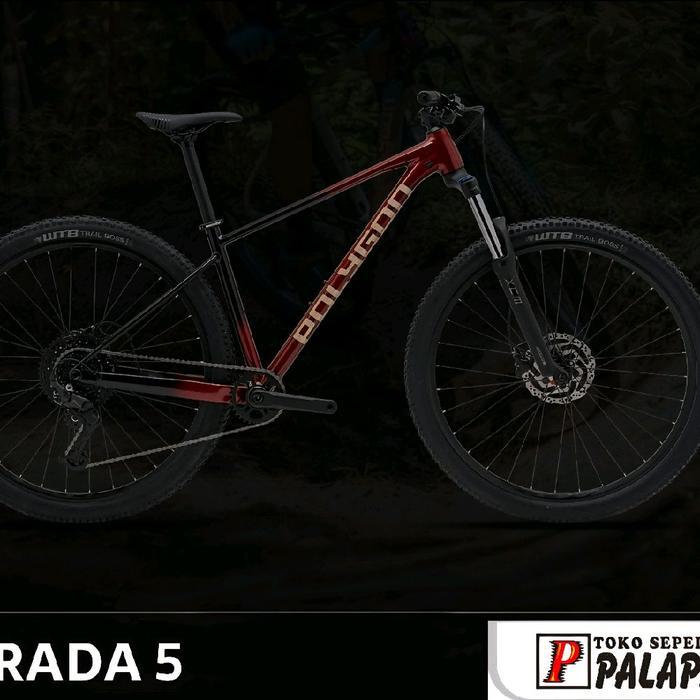MTB 29 POLYGON Xtrada 5 New Sepeda Gunung 5.0