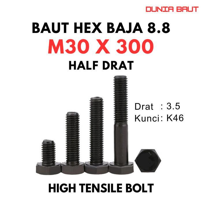 BAJA 8.8 BAUT M30X300 / BAUT 30X300 / M30 X 300 / 30 X 300 GRADE 8.8 HTB - HIGH TENSILE BOLT 88 HALF