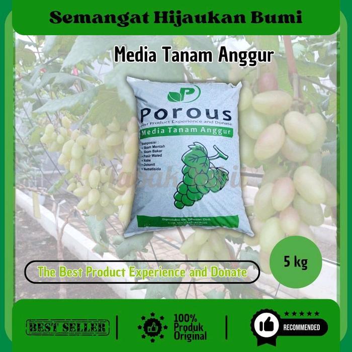 "New" Porous Media tanam anggur