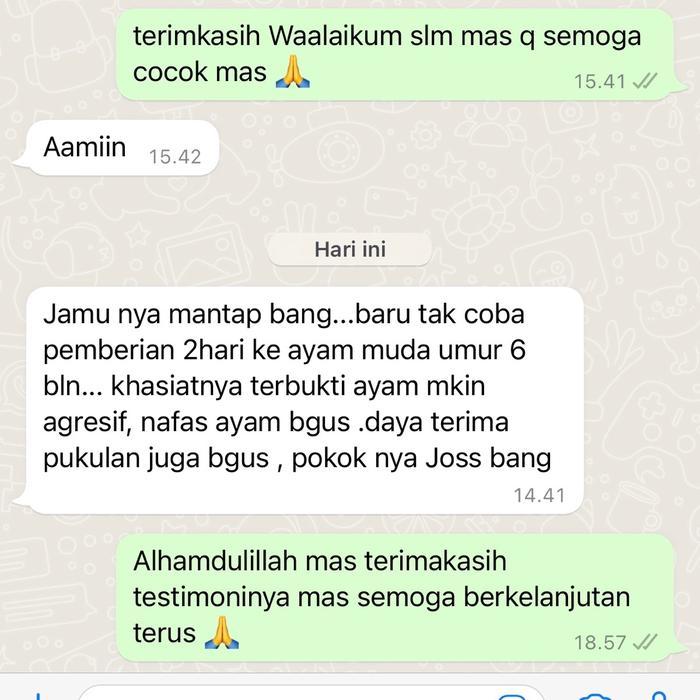 Kamlang Black Platinum (70) Pasti Promo