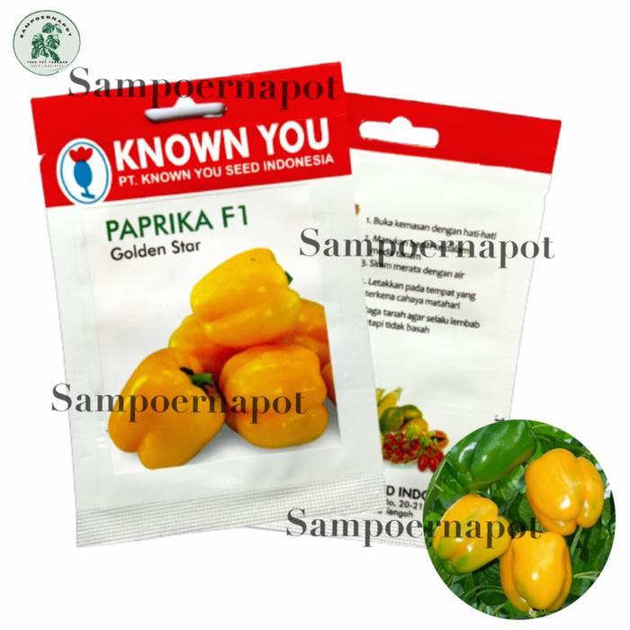 Benih Bibit Paprika F1 Kuning Golden Star Known You Seed - KYS PAPRIKA F1 GOLDEN STAR Benih Paprika