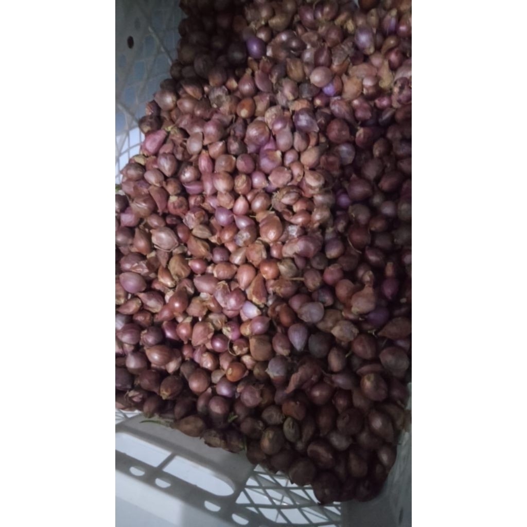 Brambang/Bawang Merah Jawa (ulekan) 1KG