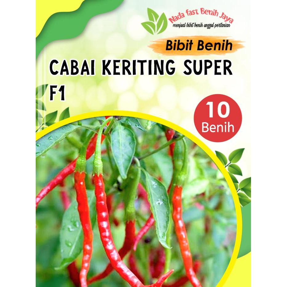KOMPLIT 5 Biji Benih Cabe merah keriting Lado unggulan