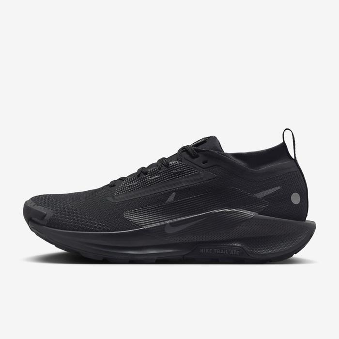 Nike Pegasus Trail 5 Gore-Tex "Black/Anthracite" Original BNIB