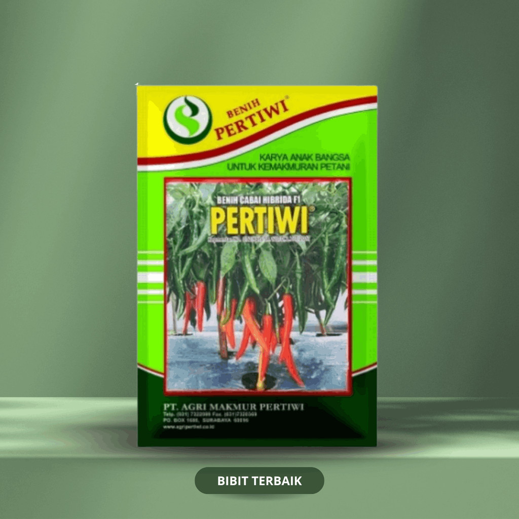 Benih Cabai Besar Pertiwi (10g) - Benih Pertiwi
