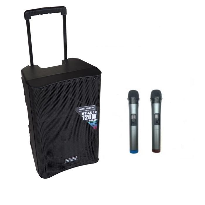 RECORDING TECH LU12 PORTABLE + 2 MIC UHF BMJ