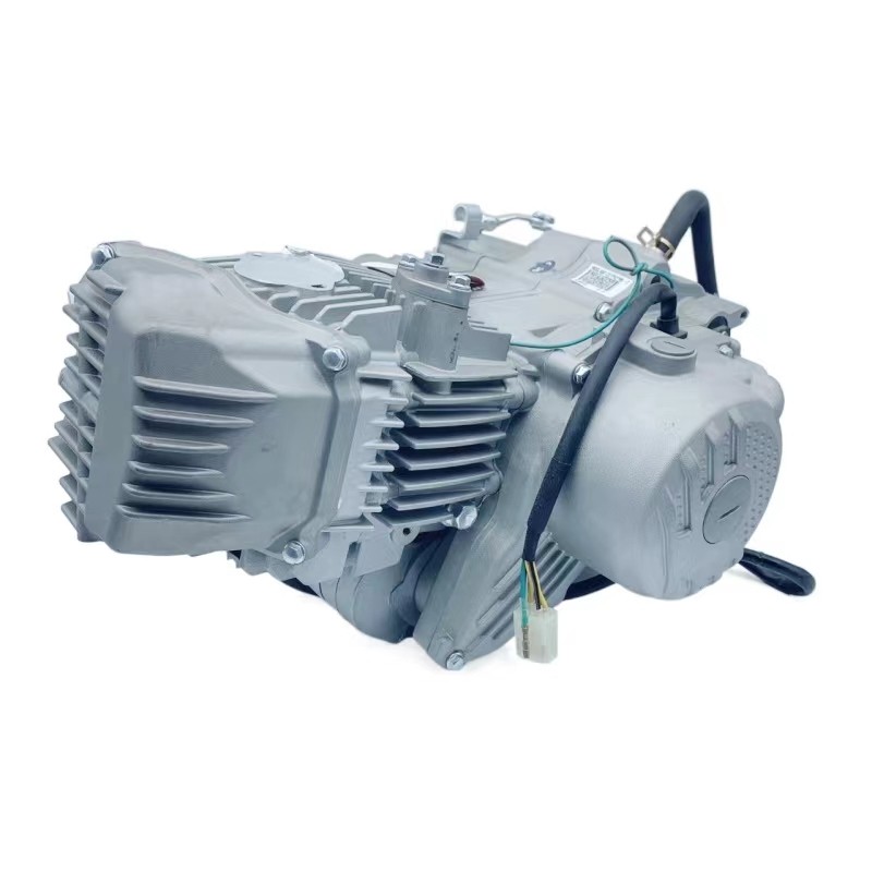 W190 4-Stroke Single Cylinder 190cc Engine Assembly For Chinese Zongshen Z190