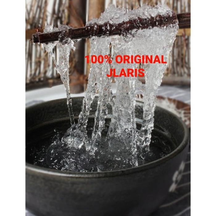 Snow Bird Nest premium 500gram/ xue yan