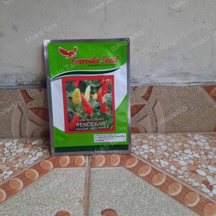 Benih Cabai Rawit Putih Pendekar 10 Gram Bibit Cabe Prentul #Promo