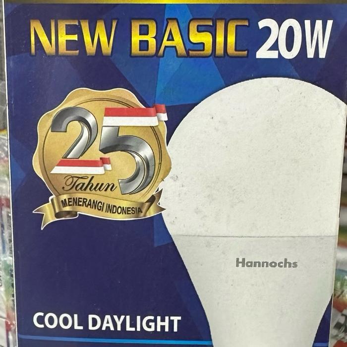 Lampu LED Basic 20 Watt Hannochs