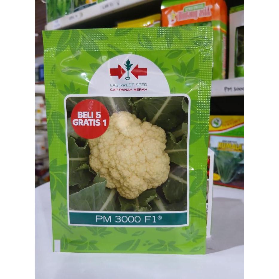 TERLARIS Benih Brokoli/Kol PM 3 F1 Cap Panah Merah READY STOCK