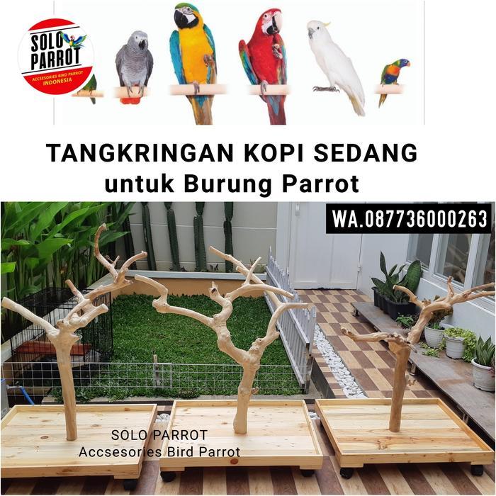 DISKON Ranting Kayu Kopi buat Burung READY STOCK