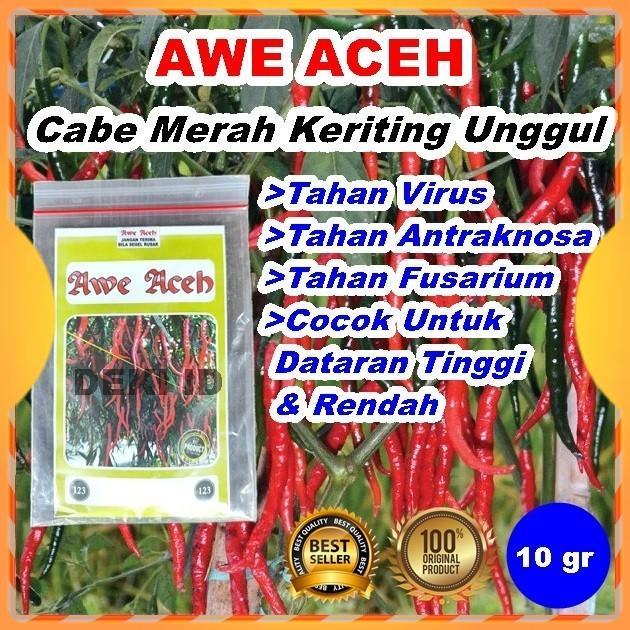 Benih Cabe Awe Aceh Bibit CMK Cabai Merah Keriting 10 Gram