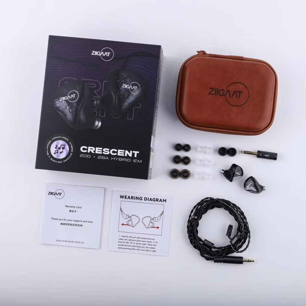 ZiiGaat Crescent- Premium 2DD+2BA Hybrid Handcrafted Quality IEM Hifi Earphone with Interchangeable