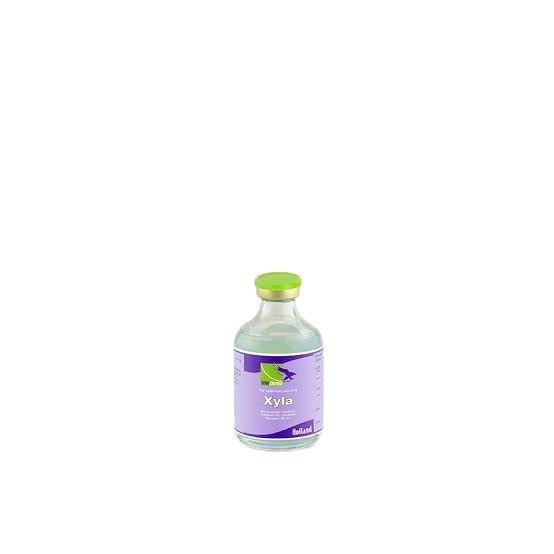 Xyla Holland Obat Anestesi Hewan 50 Ml Murah