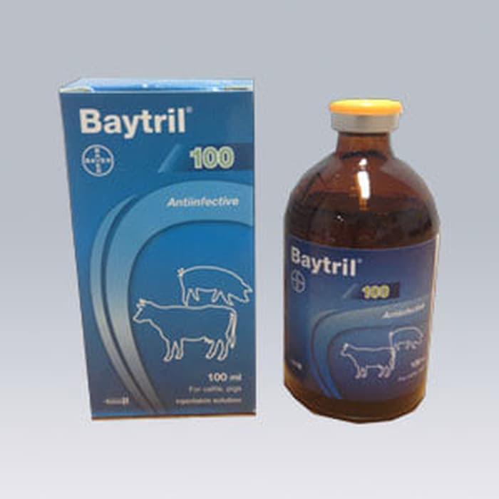 Baytril Inject 10% Terlaris