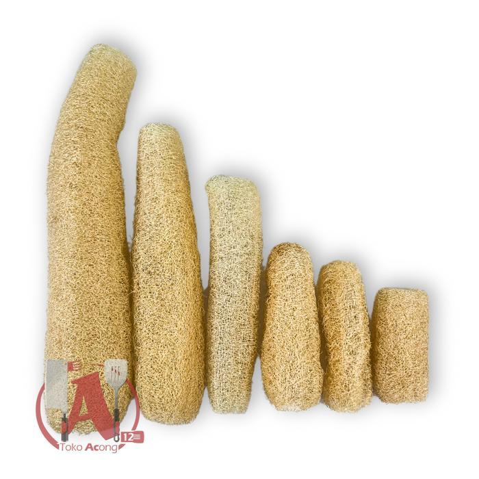 Serat Oyong L Sabut Oyong / Sikat Oyong / Gambas Loofah Luffa