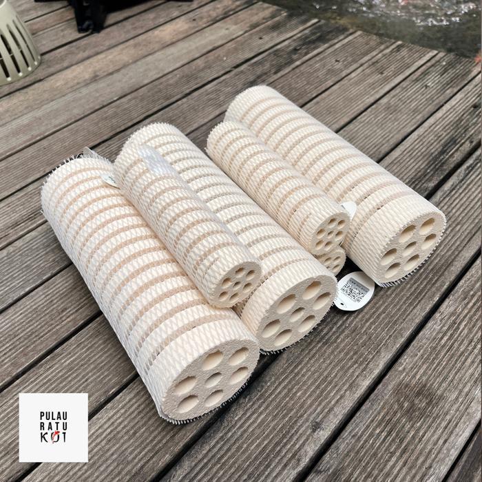 mountain tree lotus root bacteria house Gen II media filter kolam ikan