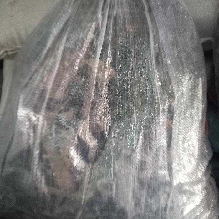 Ready Jangkrik Alam Hidup -Gratisongkir