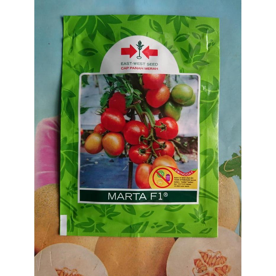TERLARIS Benih Bibit Tomat Buah Besar MARTA F1 1750 Biji READY STOCK
