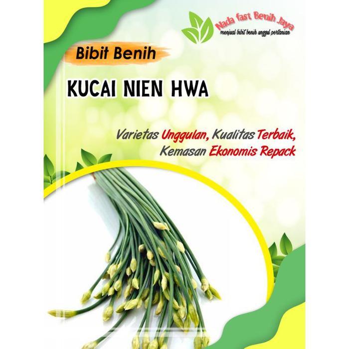 TERBARU 15 biji Benih sayuran kucai - biji bibit sayuran kucai cepat panen Tanaman