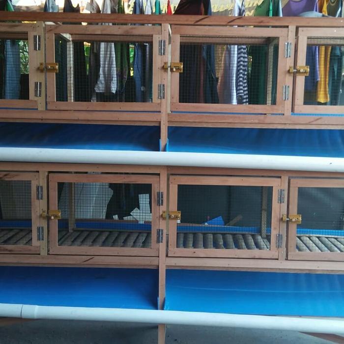 kandang ternak kelinci