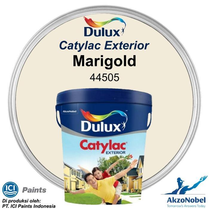 Cat Dulux Catylac Exterior 5 Kg - Marigold 44505 #Gratisongkir
