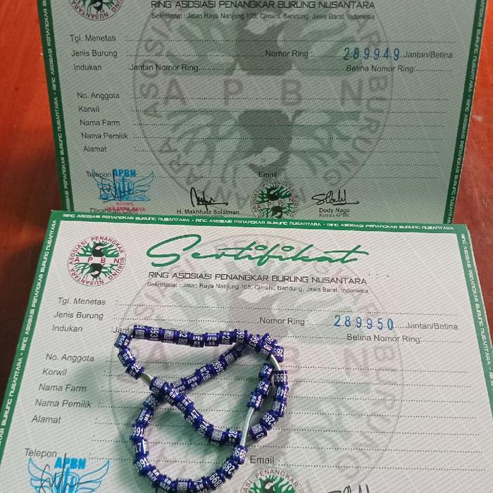 Promo Ring Apbn Untuk Murai Batu Plus Sertifikat Asli Yayasan 1 Pcs
