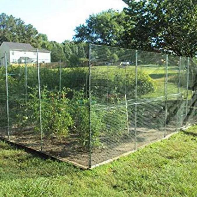 Kawat Jaring Kandang Ayam 25 Meter/Kawat Jaring Plastik Bentuk Hexagonal Bingkai