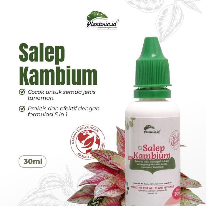 Salep Kambium 30Ml By Planteria Original Salep Kambium Bonsai Penutup Luka Tanaman Plus Fungisida