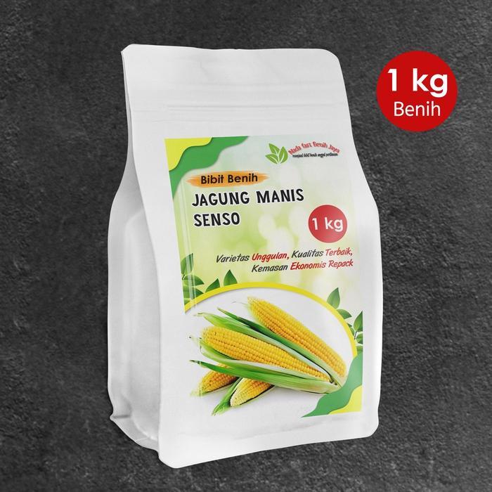 FREE ONGKIR 1 Kg Benih jagung manis senso / bibit jagung manis tanaman