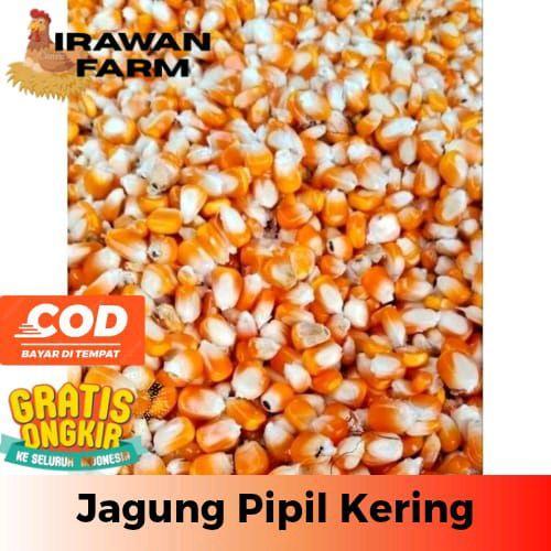 Jagung Kering Utuh Premium 1 Kg Untuk Pakan Ternak (IrawanFarm)