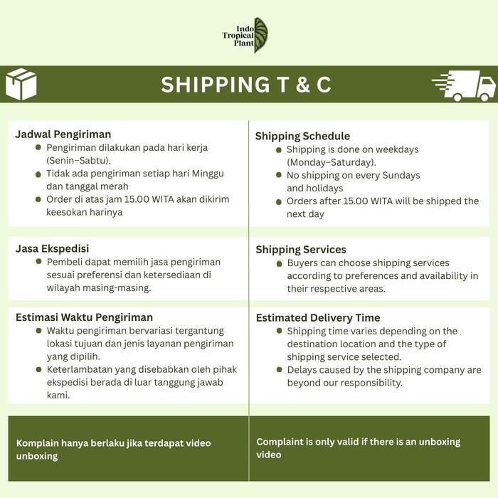 [Khusus Instan] Pot Tempel Tanaman Argo Vertical Garden / Pot Gantung Vertical Garden / Hiasan Taman