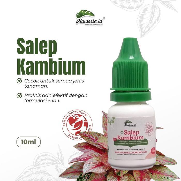 Salep Kambium 10Ml By Planteria Original Salep Kambium Bonsai Penutup Luka Tanaman Plus Fungisida
