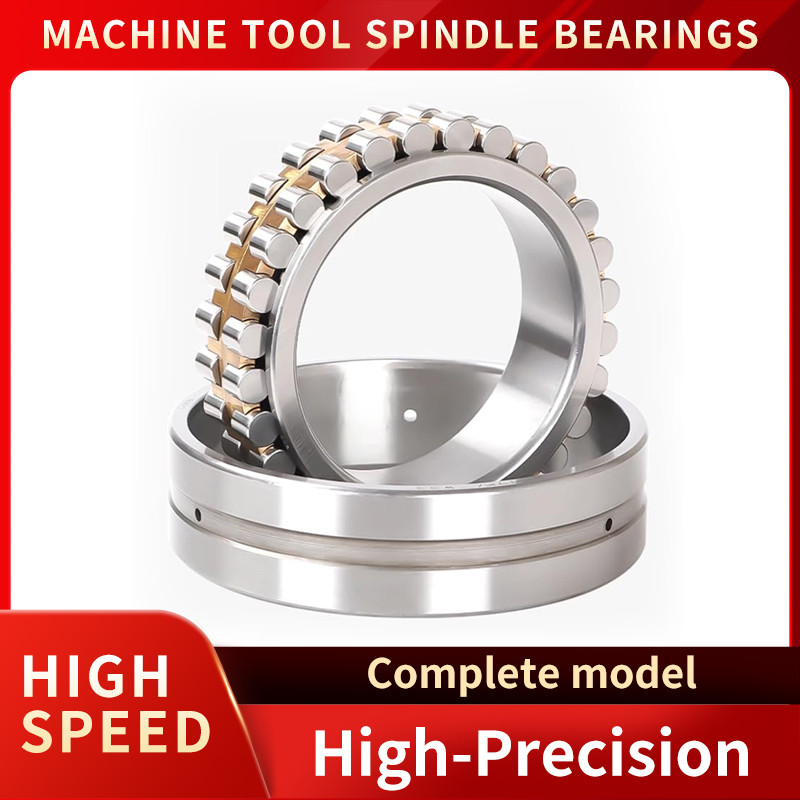High Precision Machine Tool Spindle Bearings NN 3005 3006 3007 3008 3009 3010 3011 3012 3013 3014 K