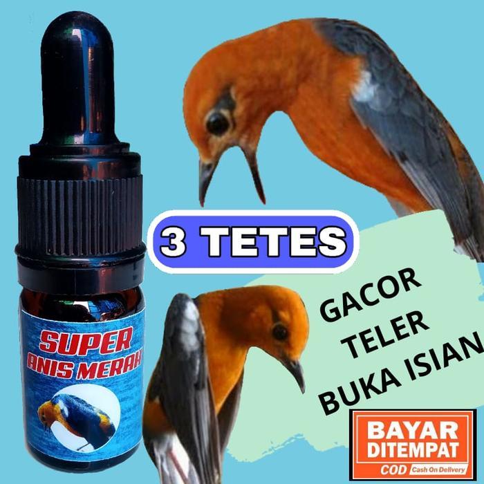 Ready Super Anis Merah Vitamin Penggacor Khusus Burung Anis Merah -Gratisongkir