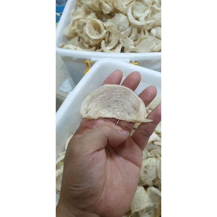 Promo Sarang Burung Walet /Bird Nest Sp 2 Tanpa Pemutih -100Gram Sale
