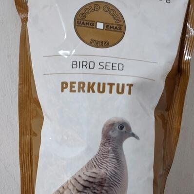 PAKAN BURUNG PERKUTUT GOLD COIN