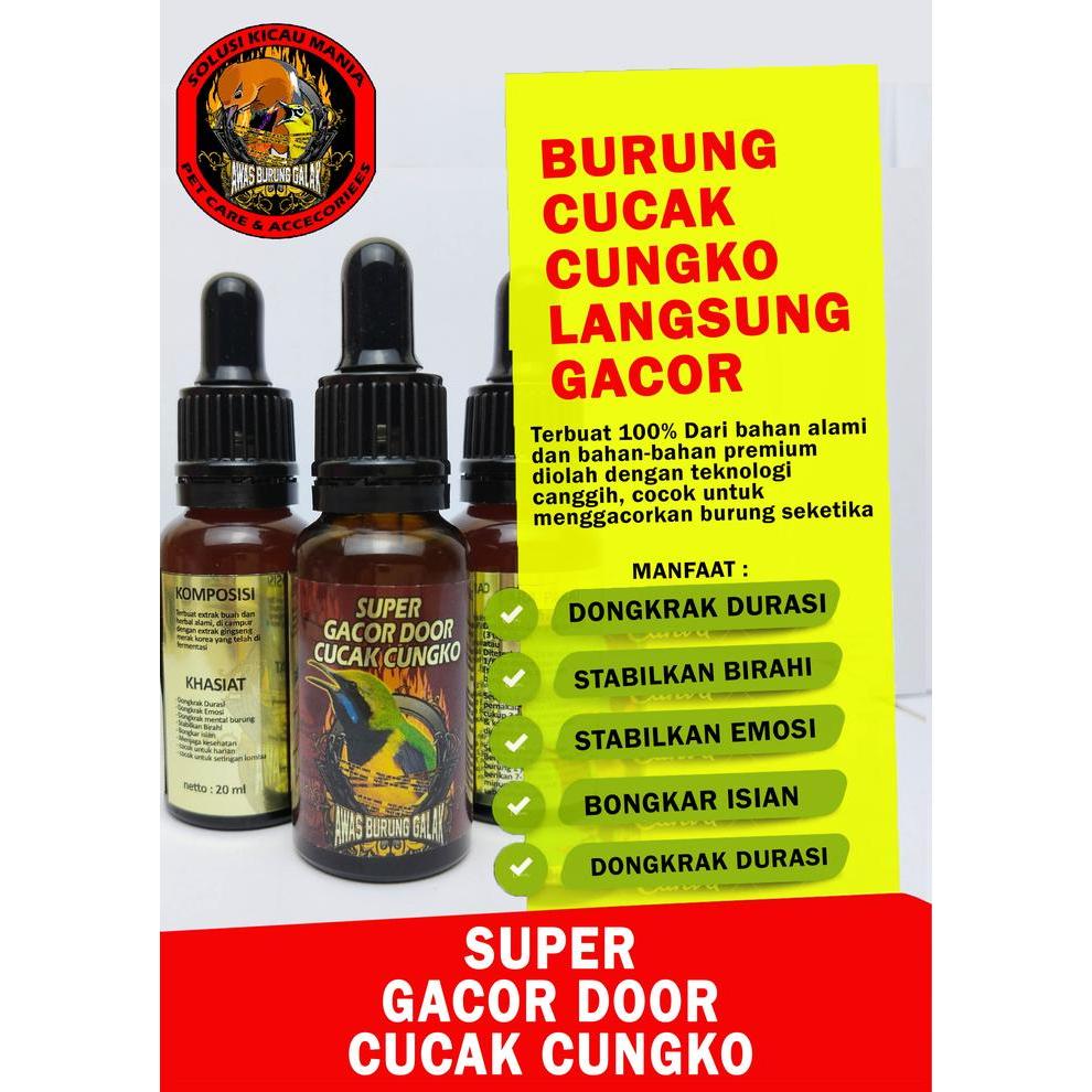 Super Gacor Door Cucak Cungko Penggacor Seketika Gacor