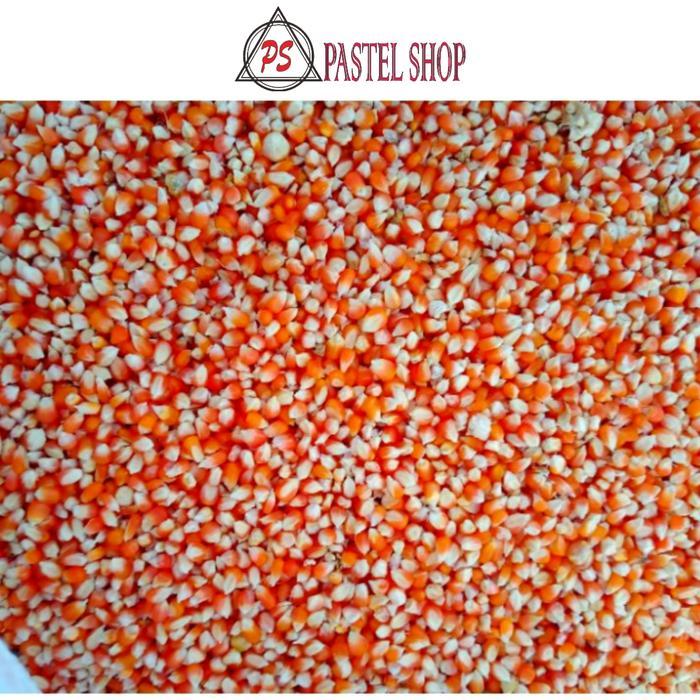 PS ~ Jagung Kristal Super Pakan Ternak Super Pakan Merpati Pakan Ayam Benih Jagung Lokal Super